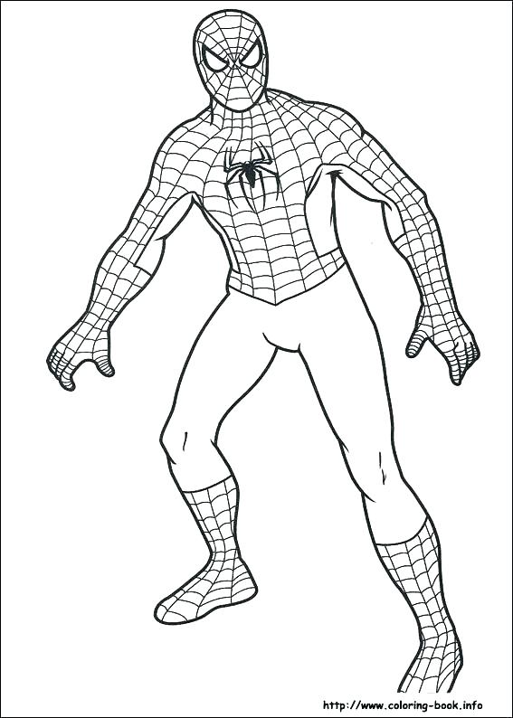 Spider Man Color Pages Free Coloring Sheets Great Free Printable 567x794 Spider Man Color Pages Free Coloring Sheets Great Free Printable