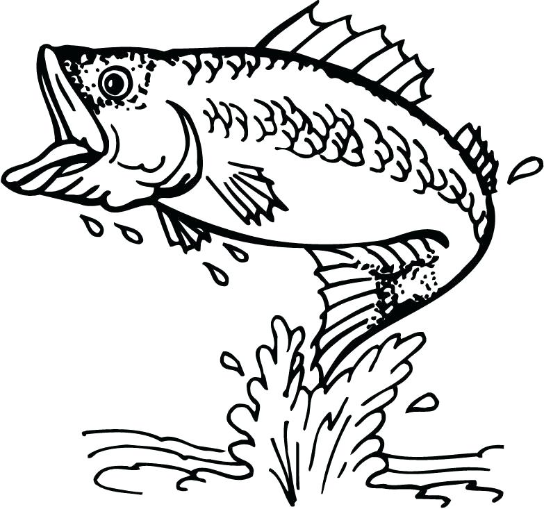 Fishing Coloring Pages And The Big Fish Coloring Page And The Big 783x733 Fishing Coloring Pages And The Big Fish Coloring Page And The Big