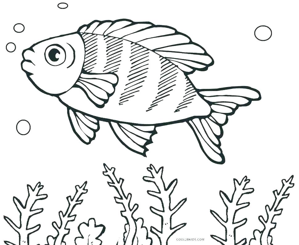 Fishing Coloring Pages Fish Color Pages Fish Color Pages Printable 970x794 Fishing Coloring Pages Fish Color Pages Fish Color Pages Printable