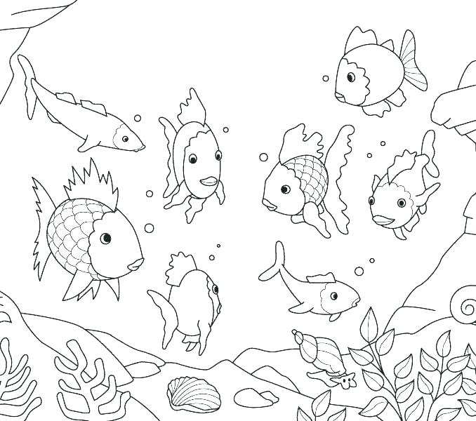 Fishing Coloring Pages Gold Fishing Page For Kids Goldfish Awesome 678x600 Fishing Coloring Pages Gold Fishing Page For Kids Goldfish Awesome