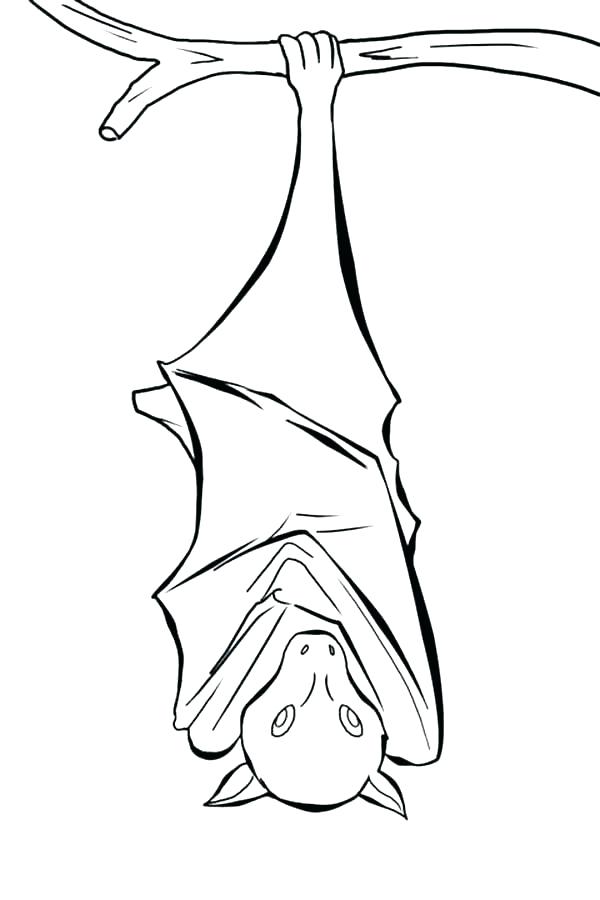 600x900 Bat Coloring Pages Man Bat Coloring Pages Printable