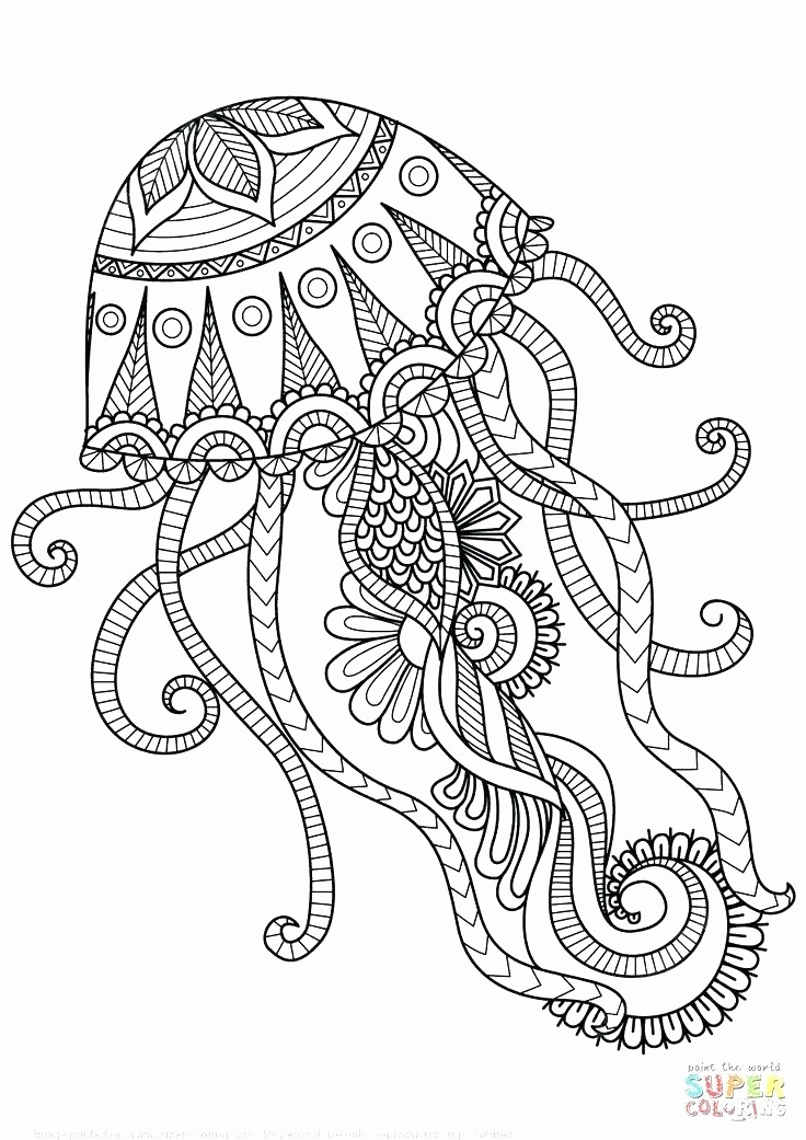 Mandala Coloring Pages Line Mandala Coloring Pages Line Also 736x1041 Mandala Coloring Pages Line Mandala Coloring Pages Line Also