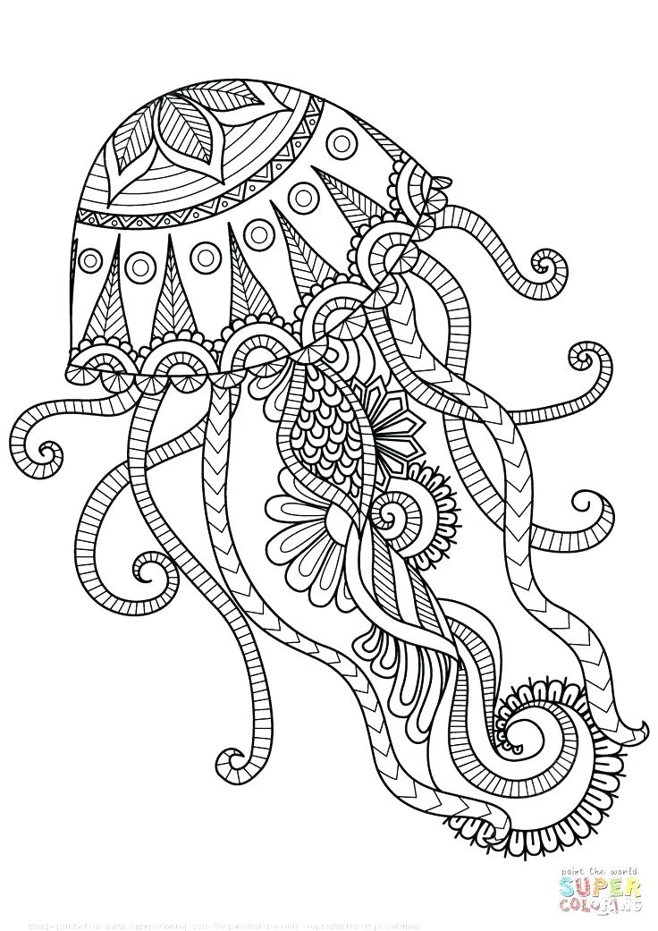 Mandalas Coloring Pages For Adults 736x1041 Mandalas Coloring Pages For Adults