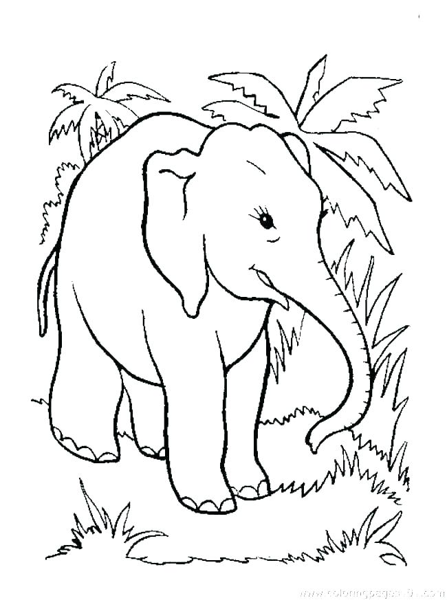 650x873 Elephant Color Page Coloring Pages Dumbo Elephant Color Cartoon