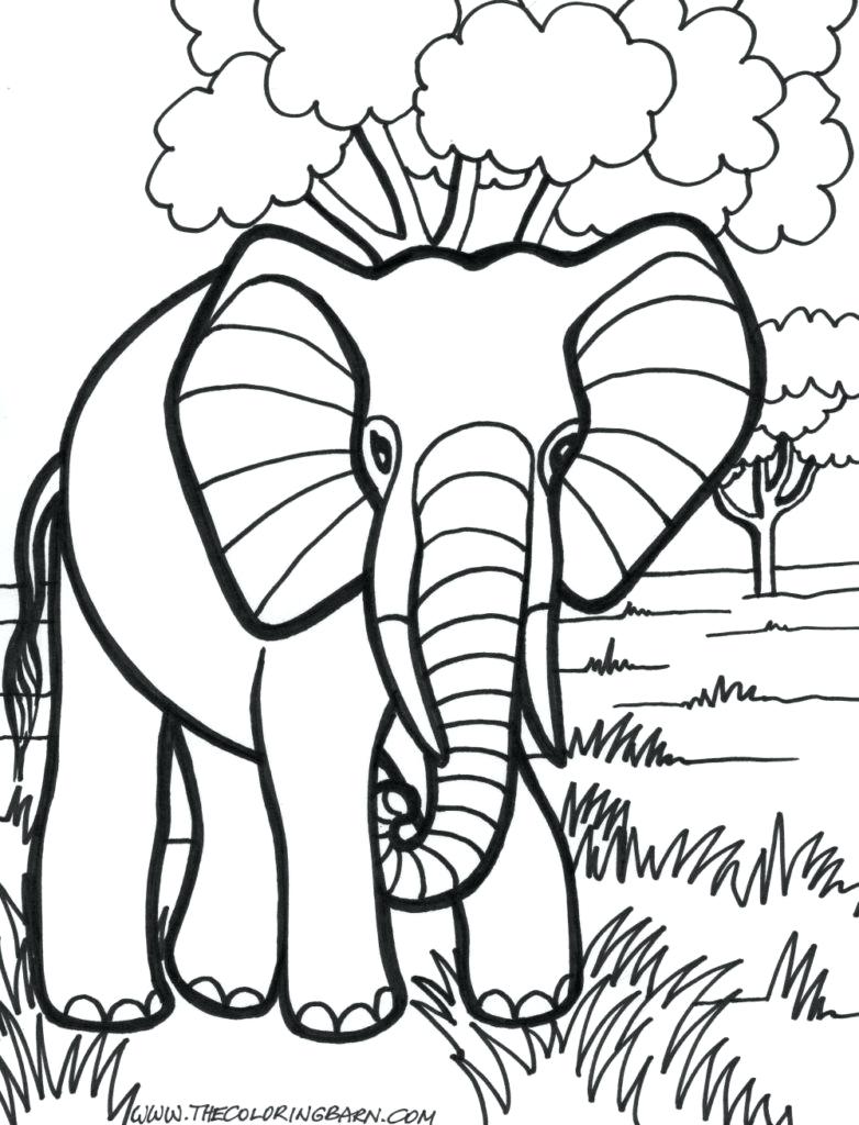 Mandala Elephant Coloring Pages at GetColorings.com | Free printable ...