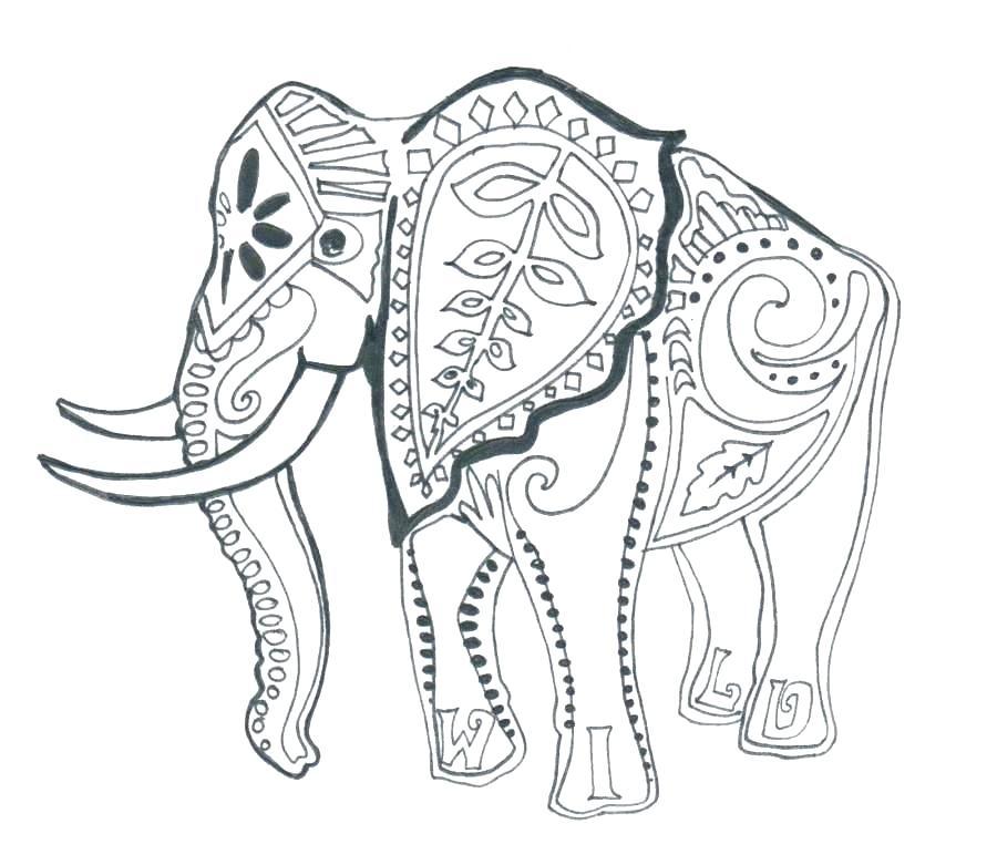 900x781 Coloring Pages Elephant Elephant Coloring Pages Printable Mandala