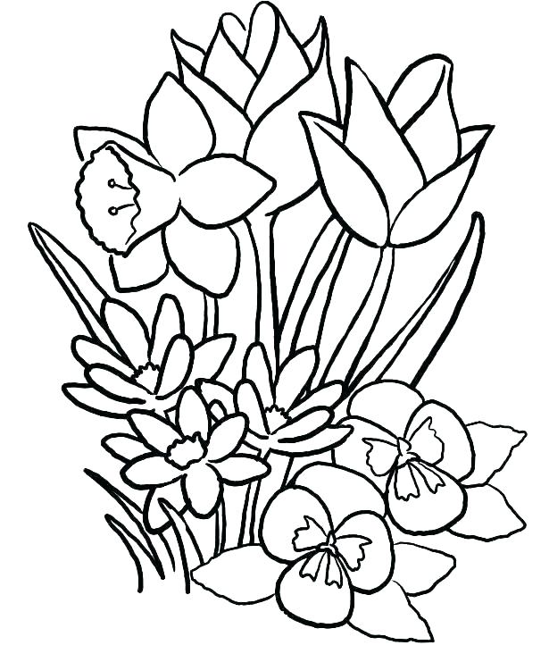 Flower Coloring Pages Cartoon Flower Coloring Pages S Cartoon 615x741 Flower Coloring Pages Cartoon Flower Coloring Pages S Cartoon