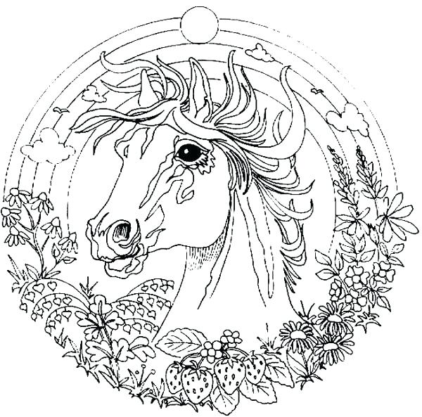 600x593 Fresh Realistic Coloring Pages Or Amazing Animal Horse Mandala