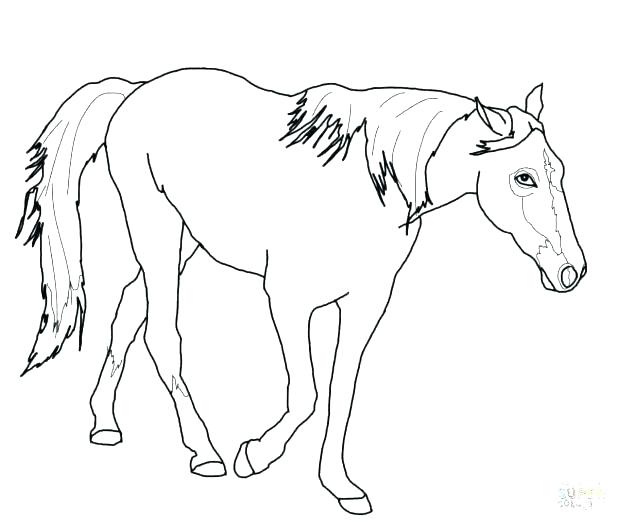 618x521 Coloring Baby Horses Coloring Pages Horse Of Picture 1 Online