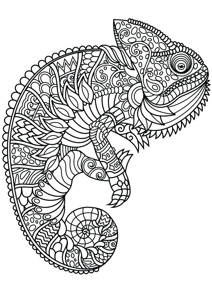 736x1040 Animal Coloring Page Animals Coloring Pages For Adults Animal