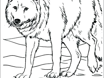 Anime Wolf Coloring Pages 440x330 Anime Wolf Coloring Pages