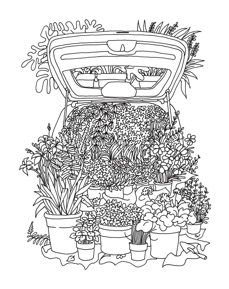 736x928 532 Best Coloring Pages (From 3 To 99) Images