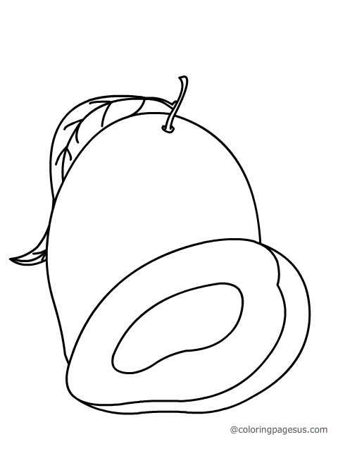 Mango Coloring Pages 480x640 Mango Coloring Pages
