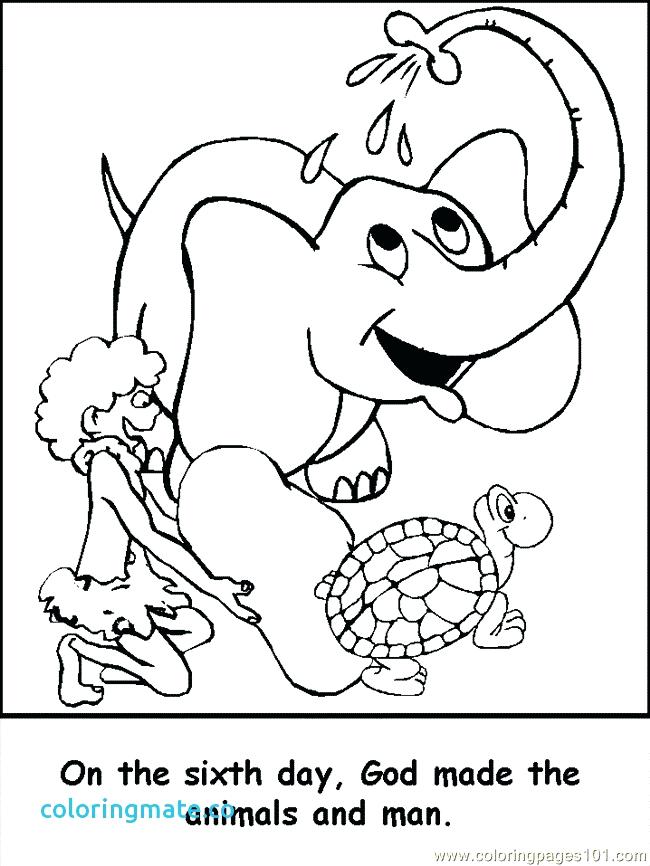 Creation Coloring Pages Collection The Biblical Creation Story 650x866 Creation Coloring Pages Collection The Biblical Creation Story