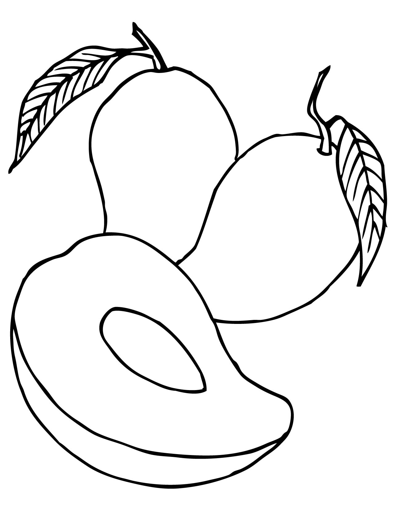 Mango Coloring Page 1275x1650 Mango Coloring Page