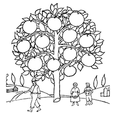 10 Best Orange Coloring Pages For Toddlers 230x230 10 Best Orange Coloring Pages For Toddlers