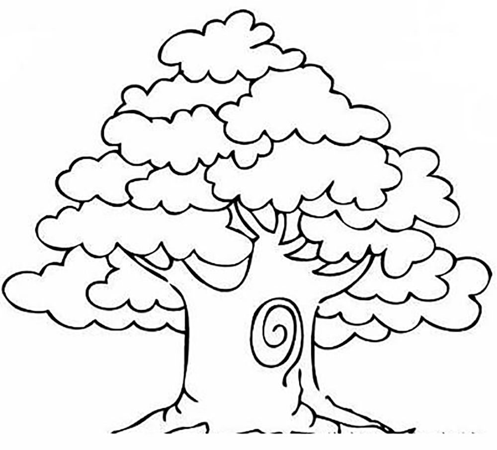 Mango Tree Trees Coloring Pages Kids Net And Learning 1000x906 Mango Tree Trees Coloring Pages Kids Net And Learning
