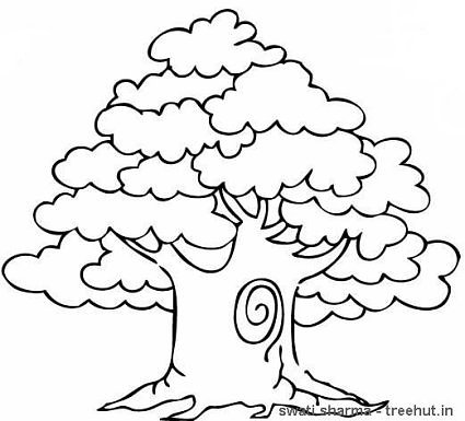 Trees Coloring Pages And Clipart 425x385 Trees Coloring Pages And Clipart