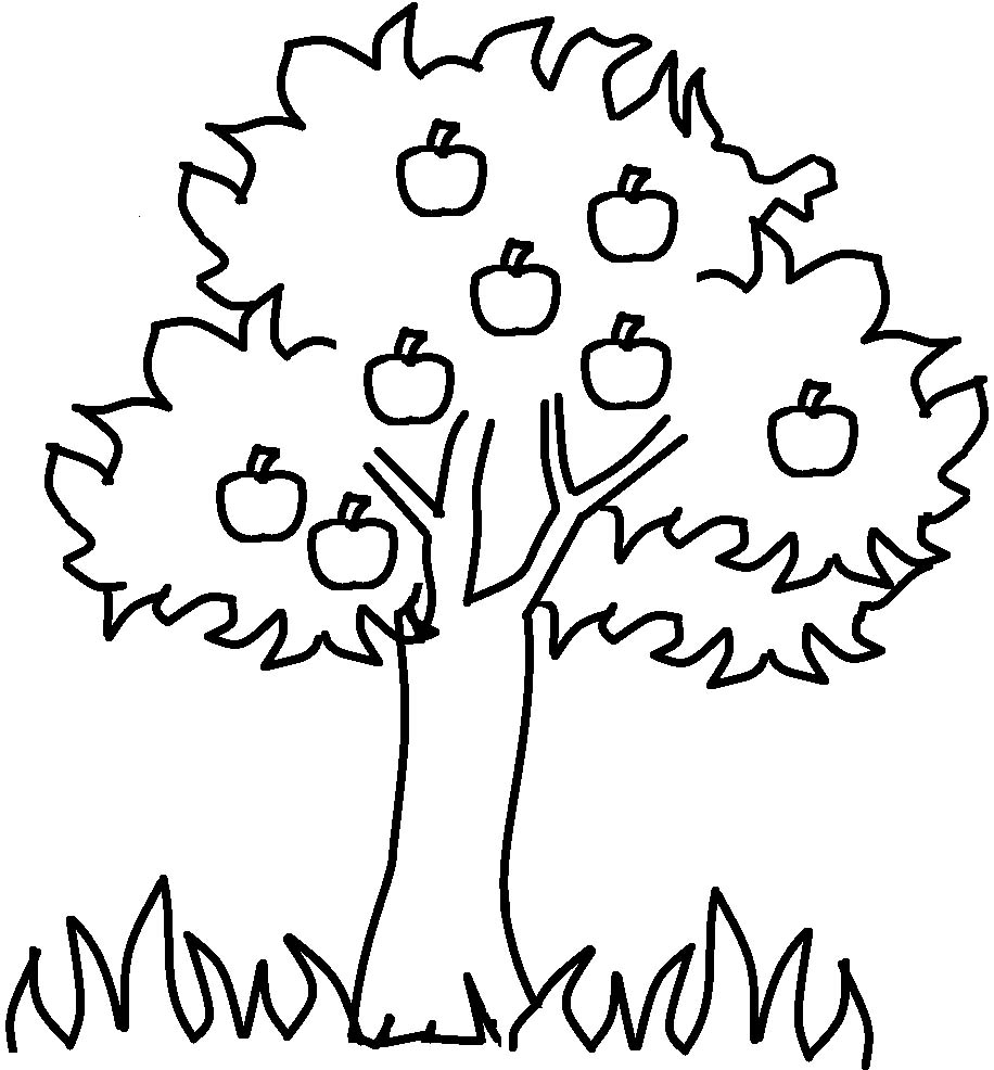 Coloring Pages Of Fruit Trees Mango Tree Coloring Pages Designs 916x986 Coloring Pages Of Fruit Trees Mango Tree Coloring Pages Designs