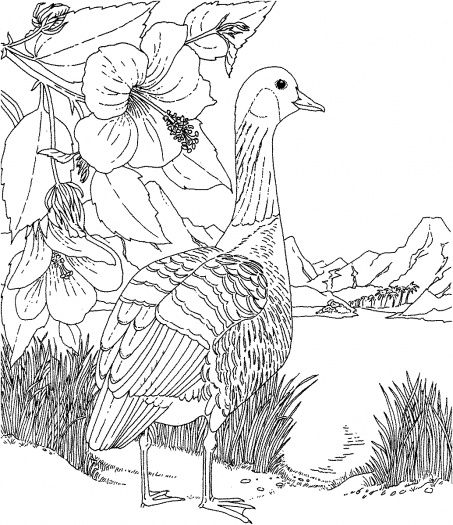 453x525 16 Best Manly Coloring Pages Images On Coloring Books
