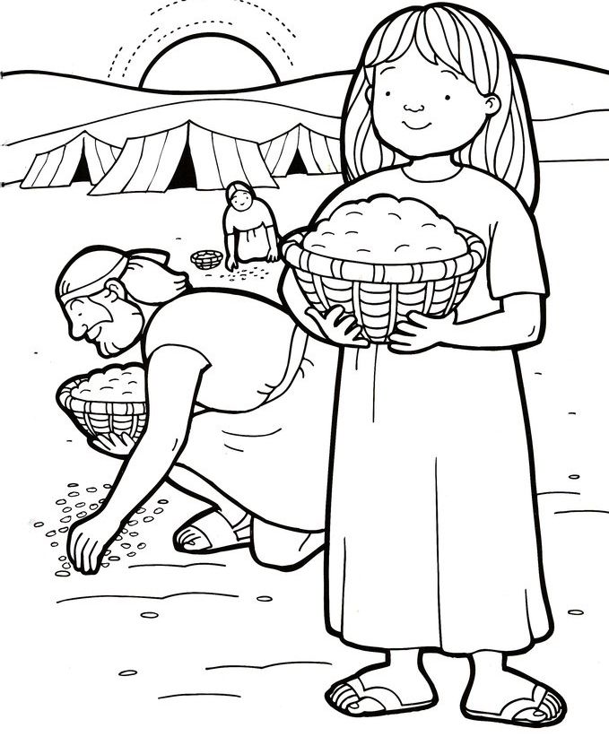 679x841 Manna From Heaven Coloring Page Wilderness Moses Manah Quails