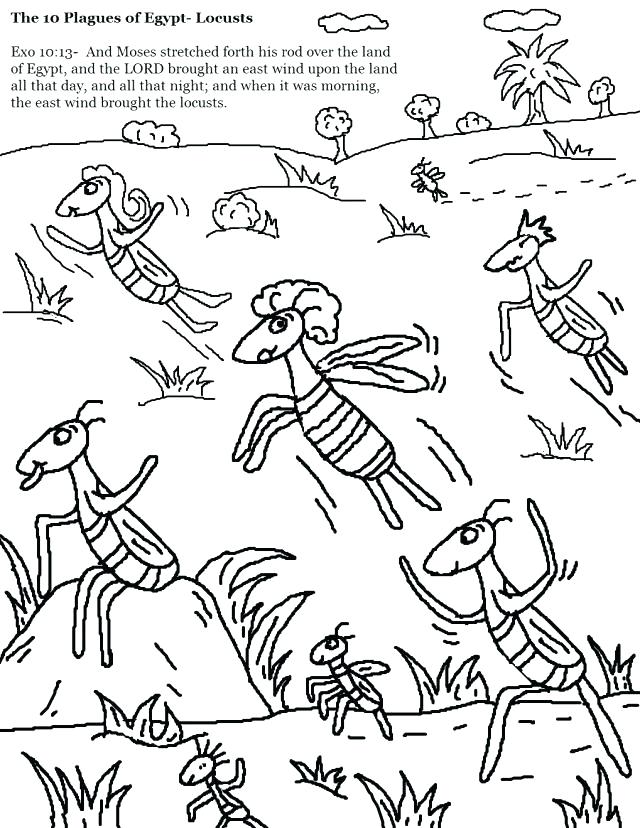 640x828 Free Manna Download Free Clip Art Free Clip Art On Moses