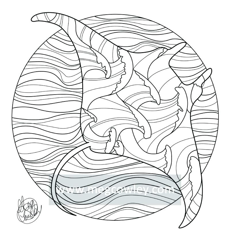 800x813 Manta Ray Coloring Page Manta Ray Coloring Page Giant Manta Ray