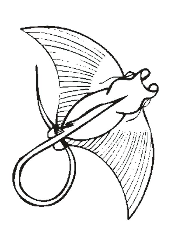 600x831 Manta Ray Coloring Page Manta Ray Tattoo Coloring Pages Manta Ray