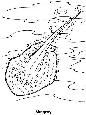 301x400 Stingray Coloring Page Crafts And Other Ideas Craft