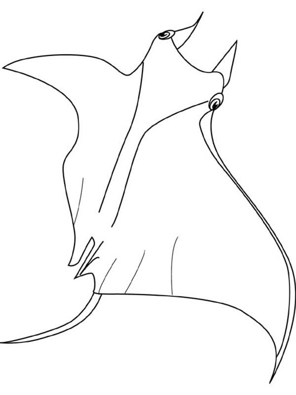 600x800 Hungry Manta Ray Coloring Pages Hungry Manta Ray Coloring Pages