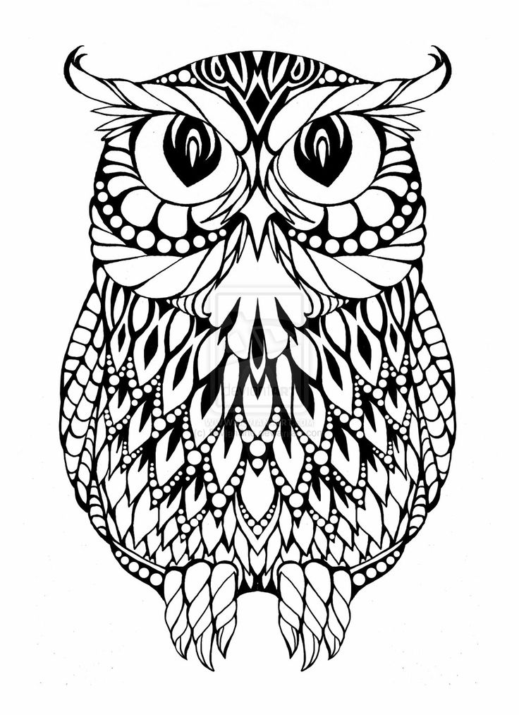 736x1013 Owl Coloring Pages Coloring Pages Amp Pictures Imaginations