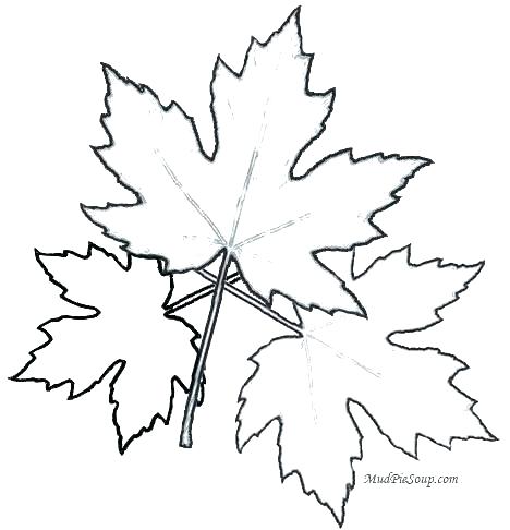 Leaf Coloring Maple Leaf Coloring Page Printable Leaves Coloring 468x486 Leaf Coloring Maple Leaf Coloring Page Printable Leaves Coloring