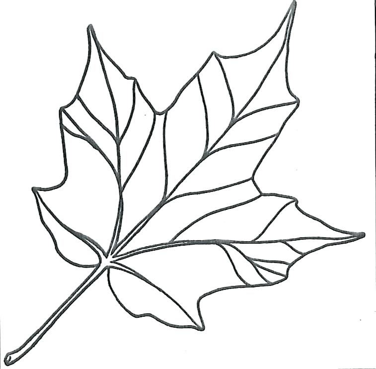 Leaf Coloring Template Maple Leaf Coloring Pages Pin Maple Leaf 757x742 Leaf Coloring Template Maple Leaf Coloring Pages Pin Maple Leaf