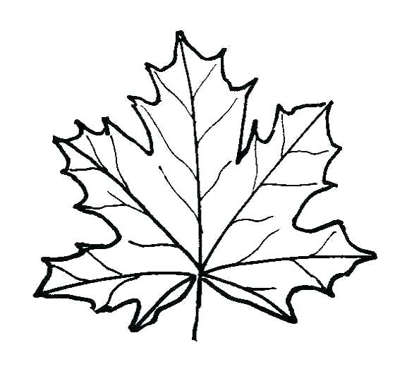 Leaves Coloring Page Coloring Pages Of Leaves Free Leaf Color 560x540 Leaves Coloring Page Coloring Pages Of Leaves Free Leaf Color