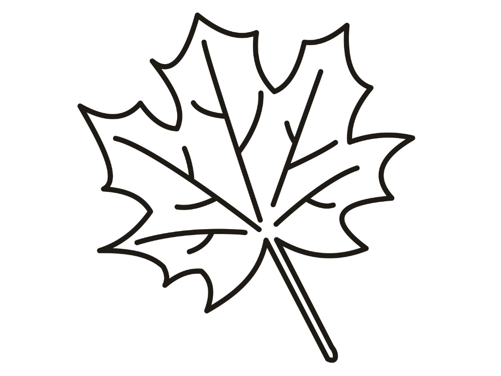 Maple Leaf Coloring Page 1024x768 Maple Leaf Coloring Page