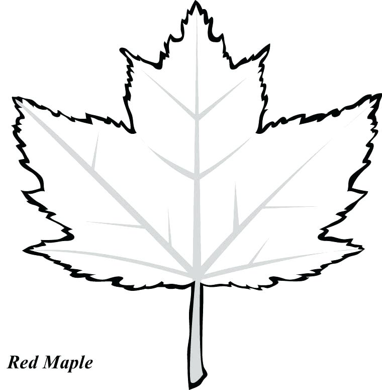 Coloring Page Leaf Red Maple Leaf Coloring Page Printable To Tiny 760x775 Coloring Page Leaf Red Maple Leaf Coloring Page Printable To Tiny