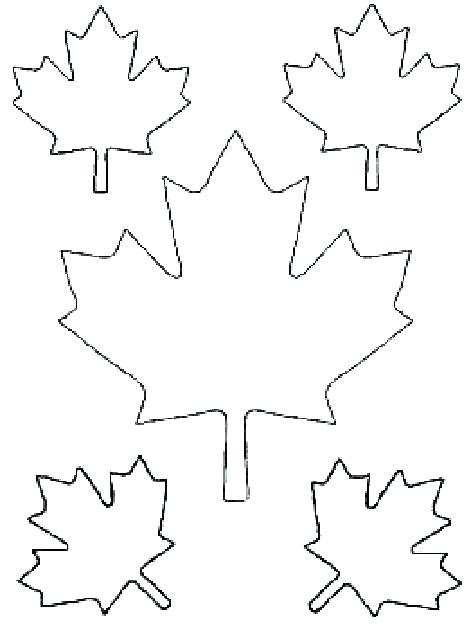 Maple Tree Coloring Page Various Type Of Maple Leaf Coloring Page 471x630 Maple Tree Coloring Page Various Type Of Maple Leaf Coloring Page