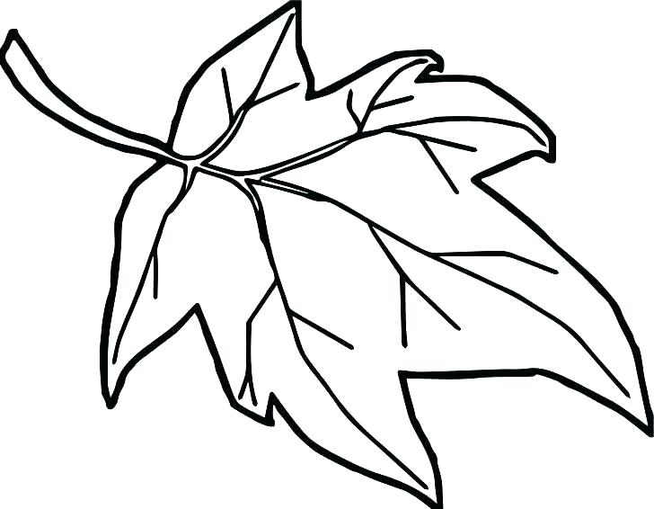 Fall Leaf Coloring Page 728x566 Fall Leaf Coloring Page