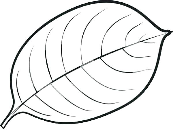 Coloring Pages Of Leaves Leaves Coloring Pages Leaf Coloring Pages 600x470 Coloring Pages Of Leaves Leaves Coloring Pages Leaf Coloring Pages