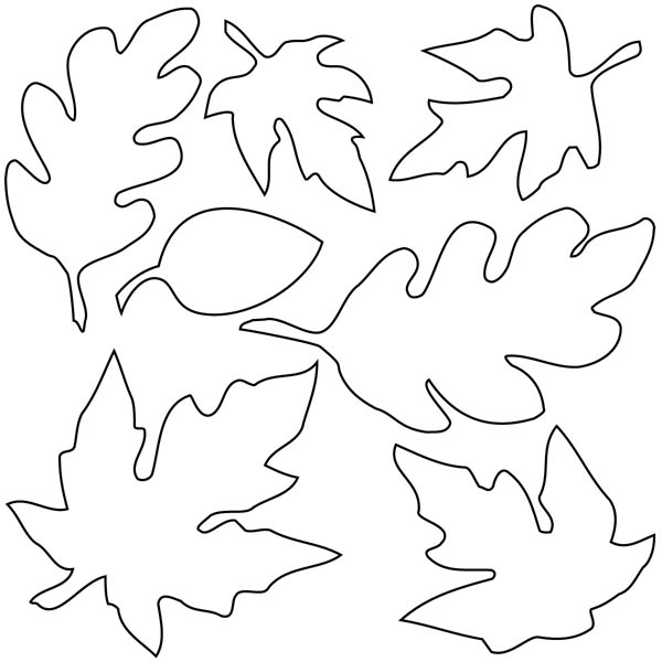 Coloring Pages Of Leaves Various Type Of Maple Leaf Coloring Page 600x600 Coloring Pages Of Leaves Various Type Of Maple Leaf Coloring Page