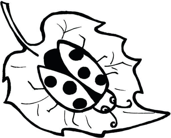 600x484 Leaf Coloring Page Lady Bug On Maple Leaf Coloring Page Autumn