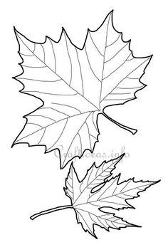 236x354 Leaf Printable Coloring Pages Leaves, Fall Leaves And Craft