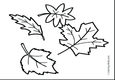 Maple Leaf Coloring Page at GetColorings.com | Free printable colorings ...