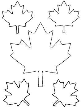 262x350 Free Kids Coloring Pages Maple Leaves
