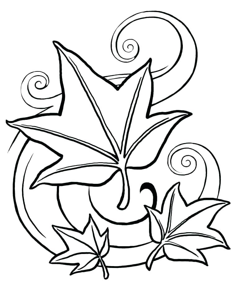 Maple Tree Coloring Page