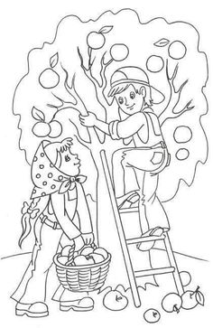 Maple Tree Coloring Page Worksheets, Kindergarten And Craft 236x363 Maple Tree Coloring Page Worksheets, Kindergarten And Craft