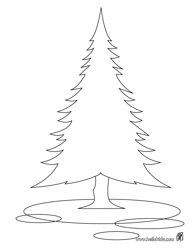 Maple Tree Coloring Pages 820x1060 Maple Tree Coloring Pages