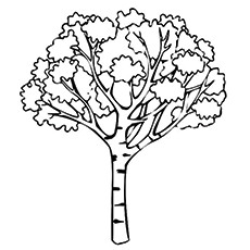 Top 25 Tree Coloring Pages For Your Little Ones 230x230 Top 25 Tree Coloring Pages For Your Little Ones