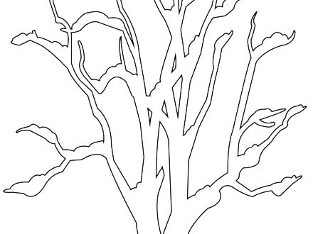 Tree Trunk Coloring Page Bare Tree Coloring Page This Is Bare Tree 440x330 Tree Trunk Coloring Page Bare Tree Coloring Page This Is Bare Tree