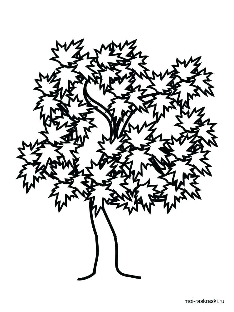 Trees Coloring Pages Tree Coloring Pages Coloring Pages Of Trees 750x1000 Trees Coloring Pages Tree Coloring Pages Coloring Pages Of Trees
